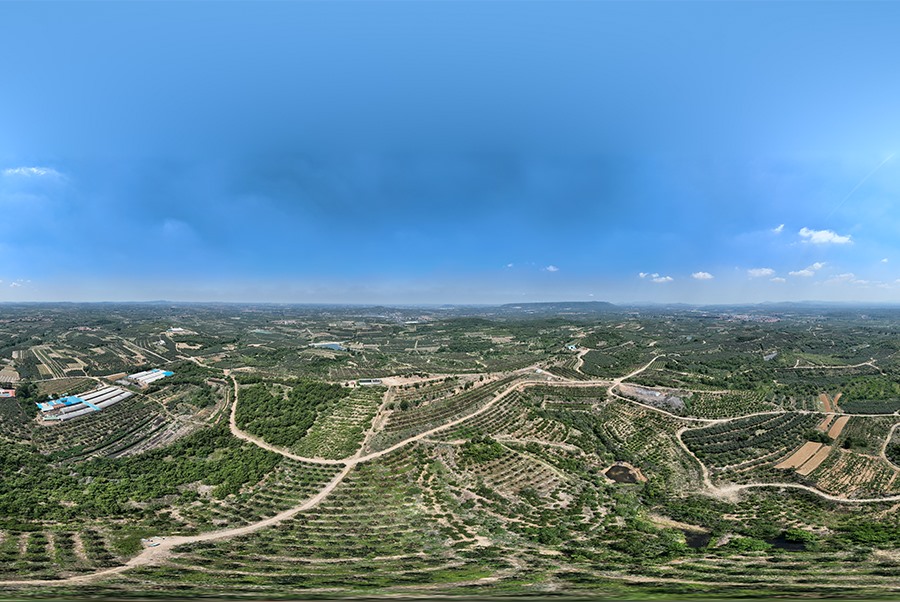 蘋(píng)果基地
